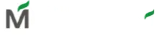 Grupo Marajó