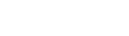 P. B. Lopes